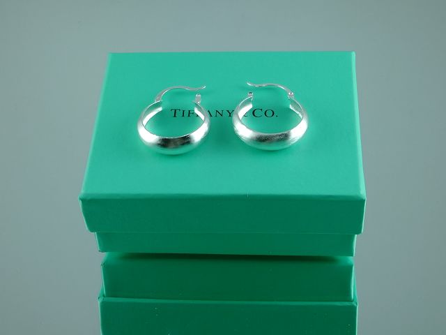 tiffany Earrings-083